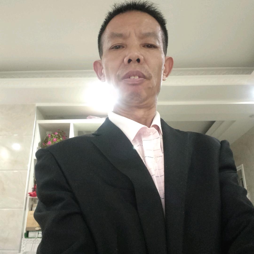 温顺的骏马