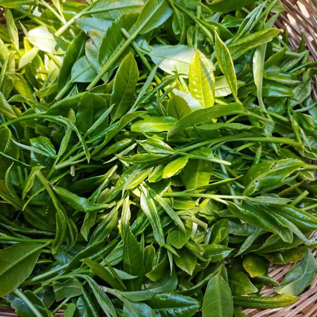 一毛