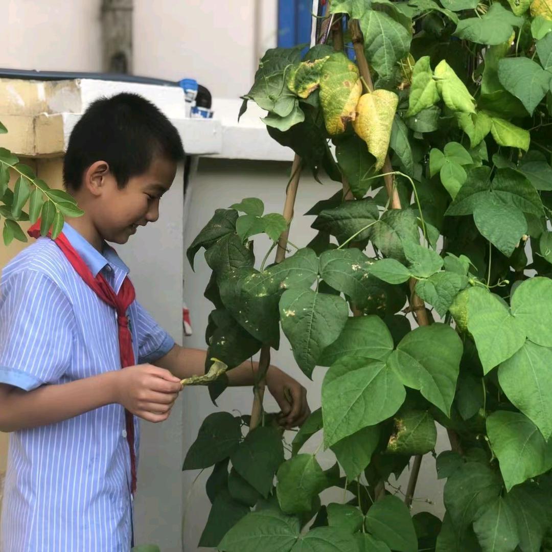 舞动的鹰