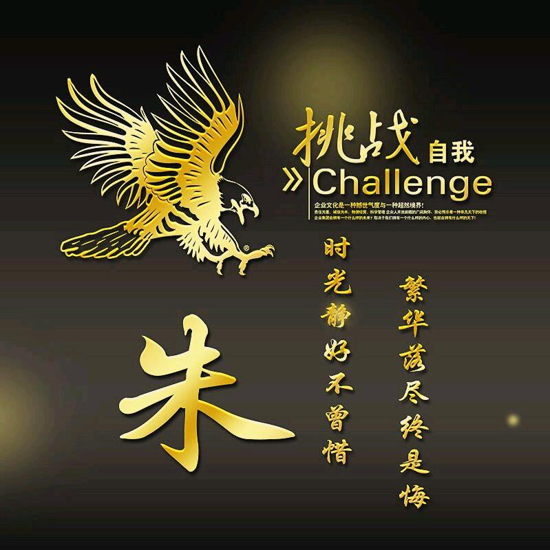 踏碎星河