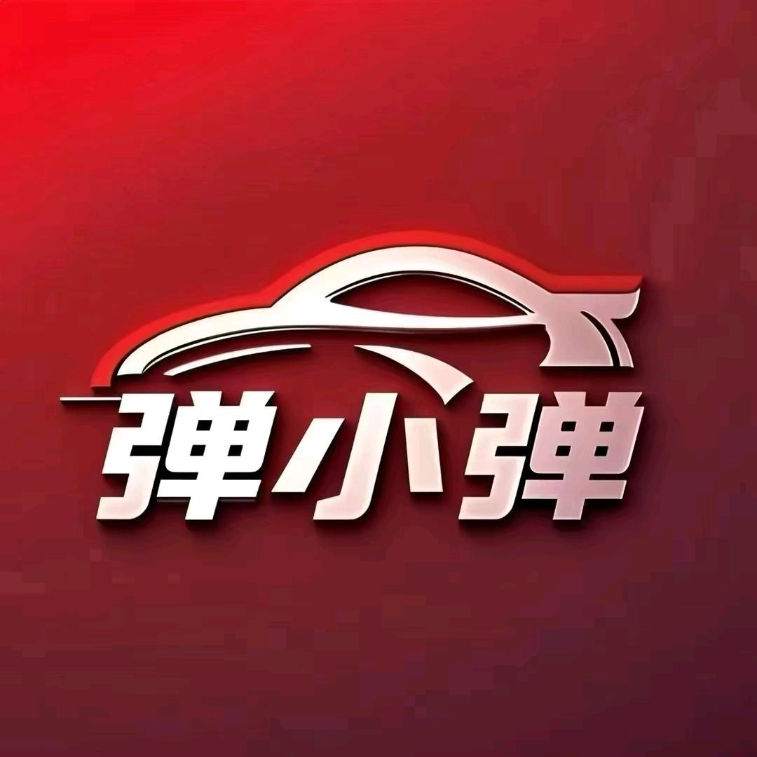 弹小弹汽车（一口价模式卖新车）