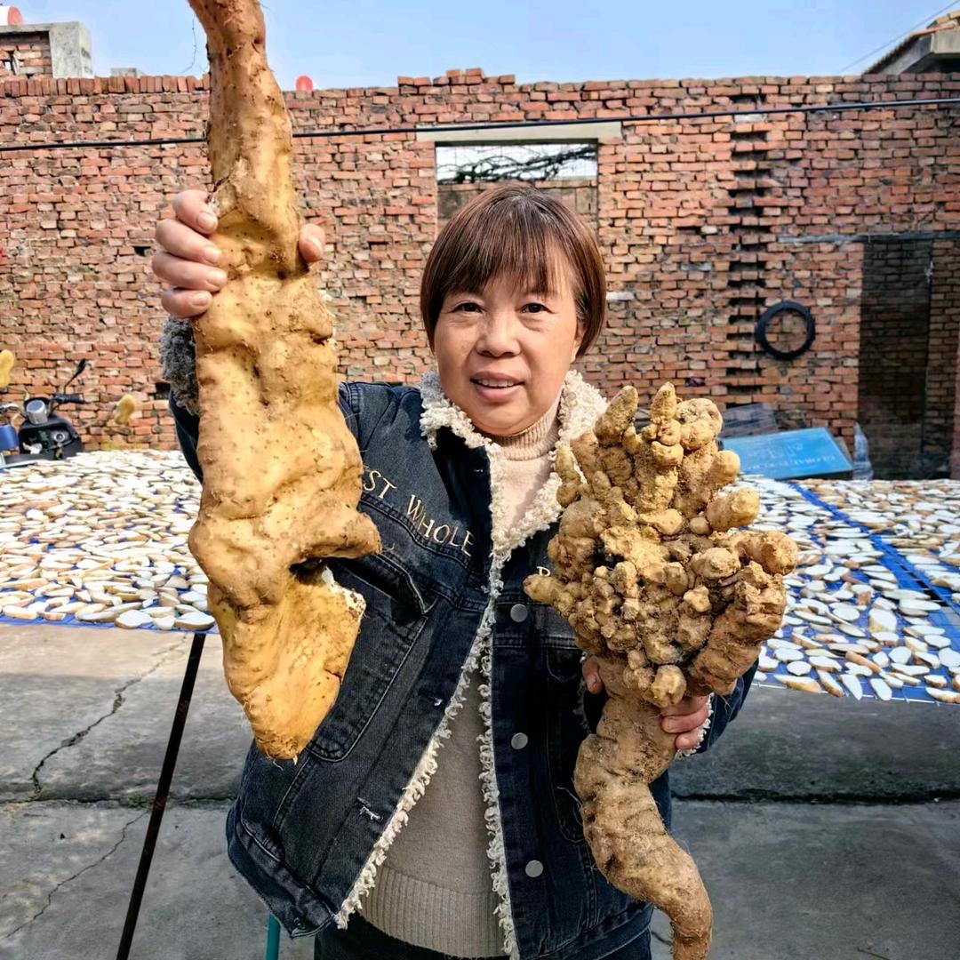 太行山农
