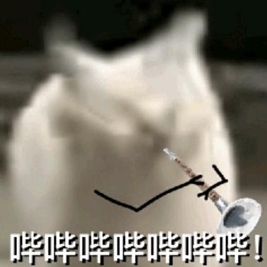波崽