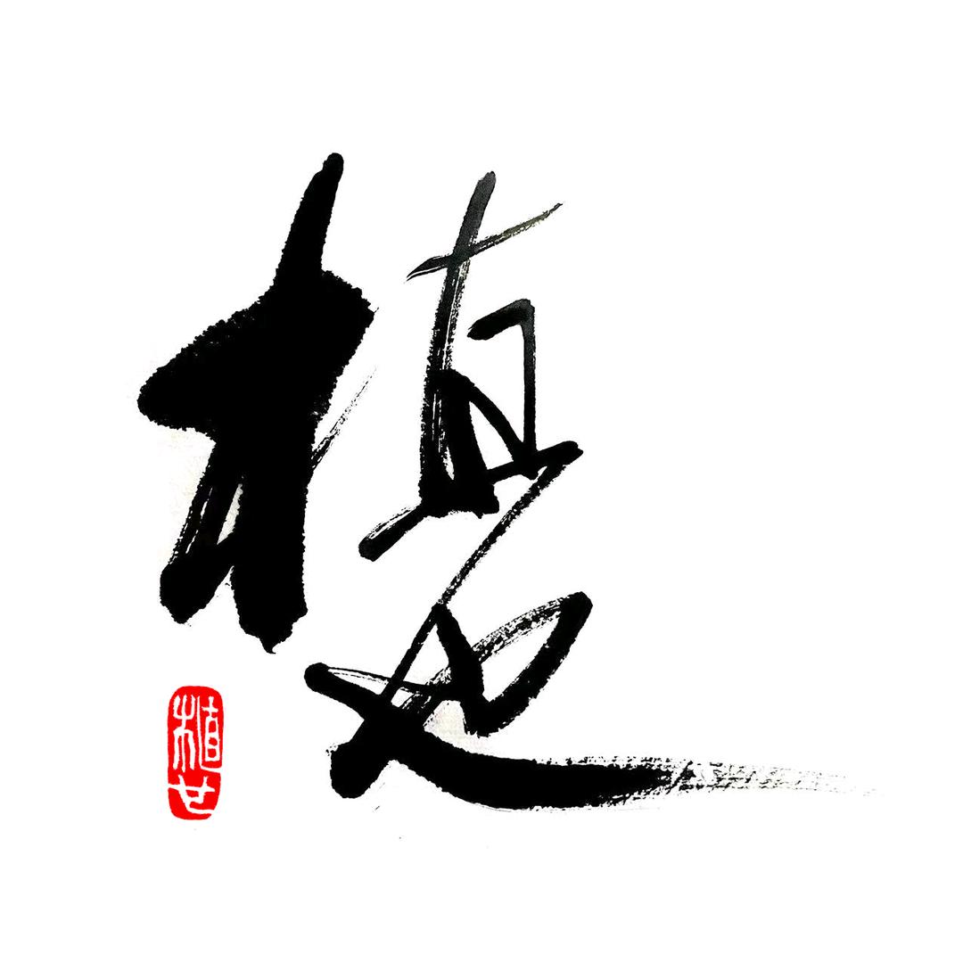 植也盆栽