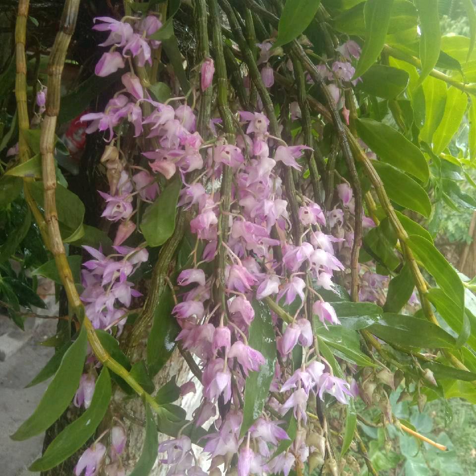 珍惜