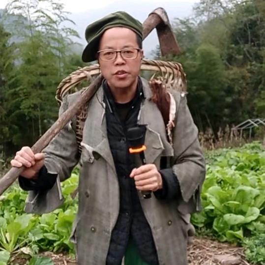 陈山歌
