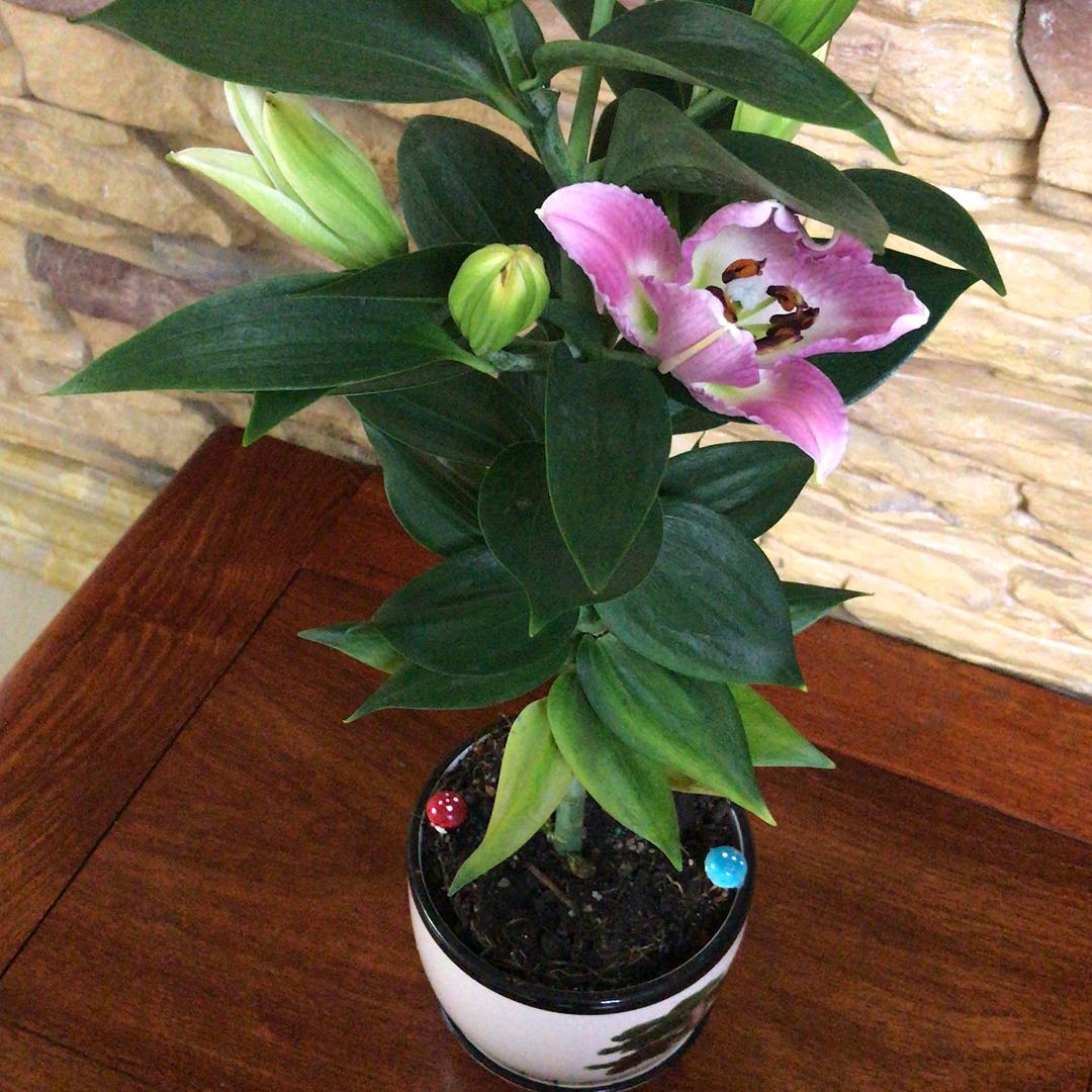 和天下A