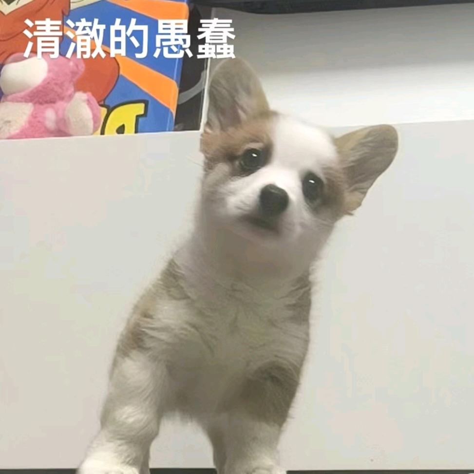 尤˙