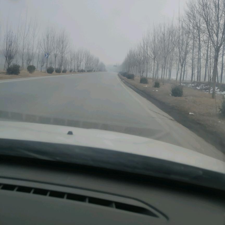 自由百香果
