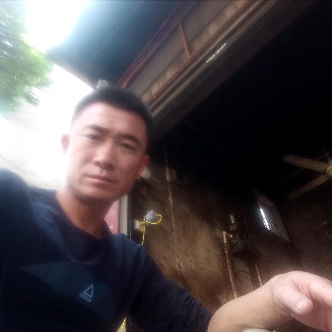 辉哥
