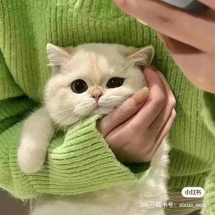 翠兰