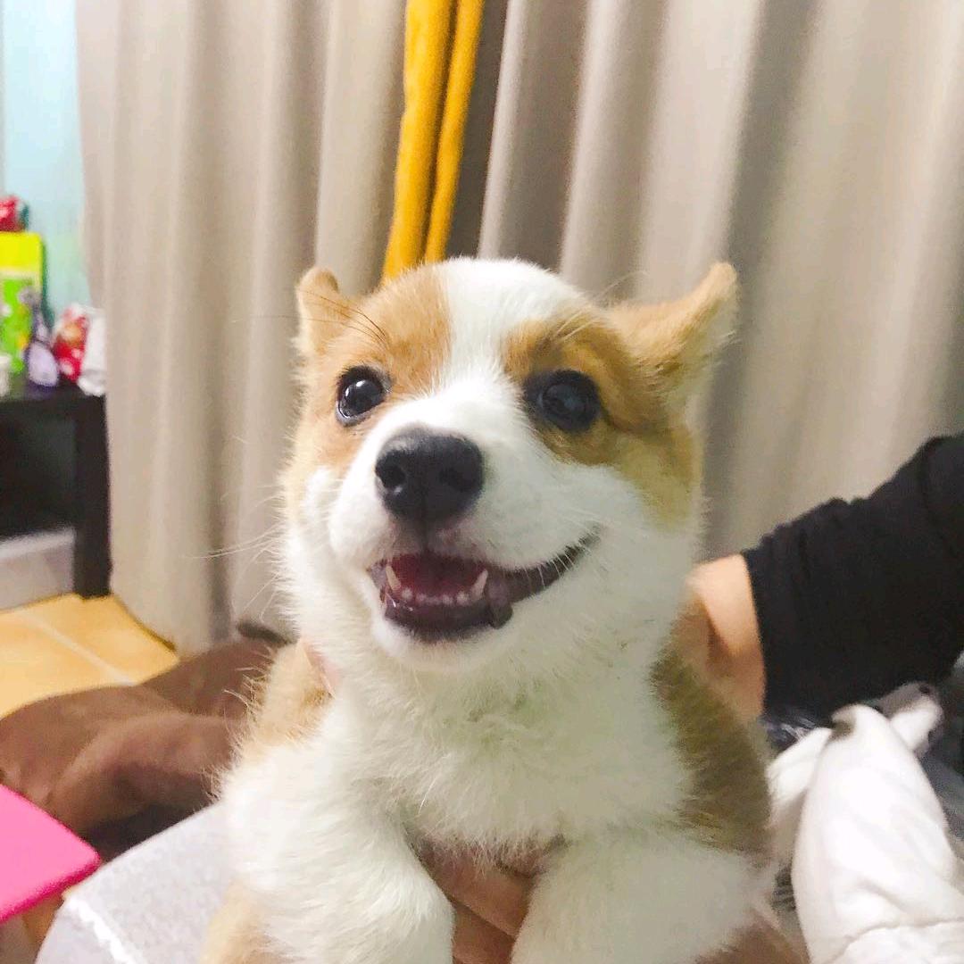 陈小讷