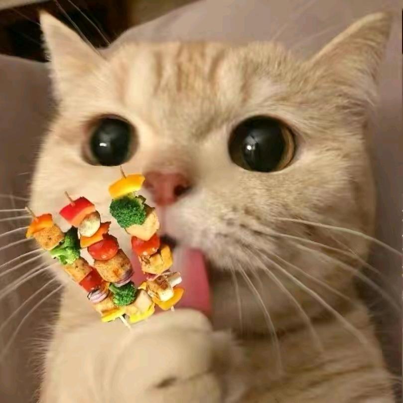 小馋猫