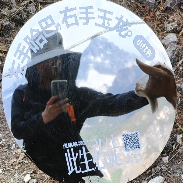 与轩同行