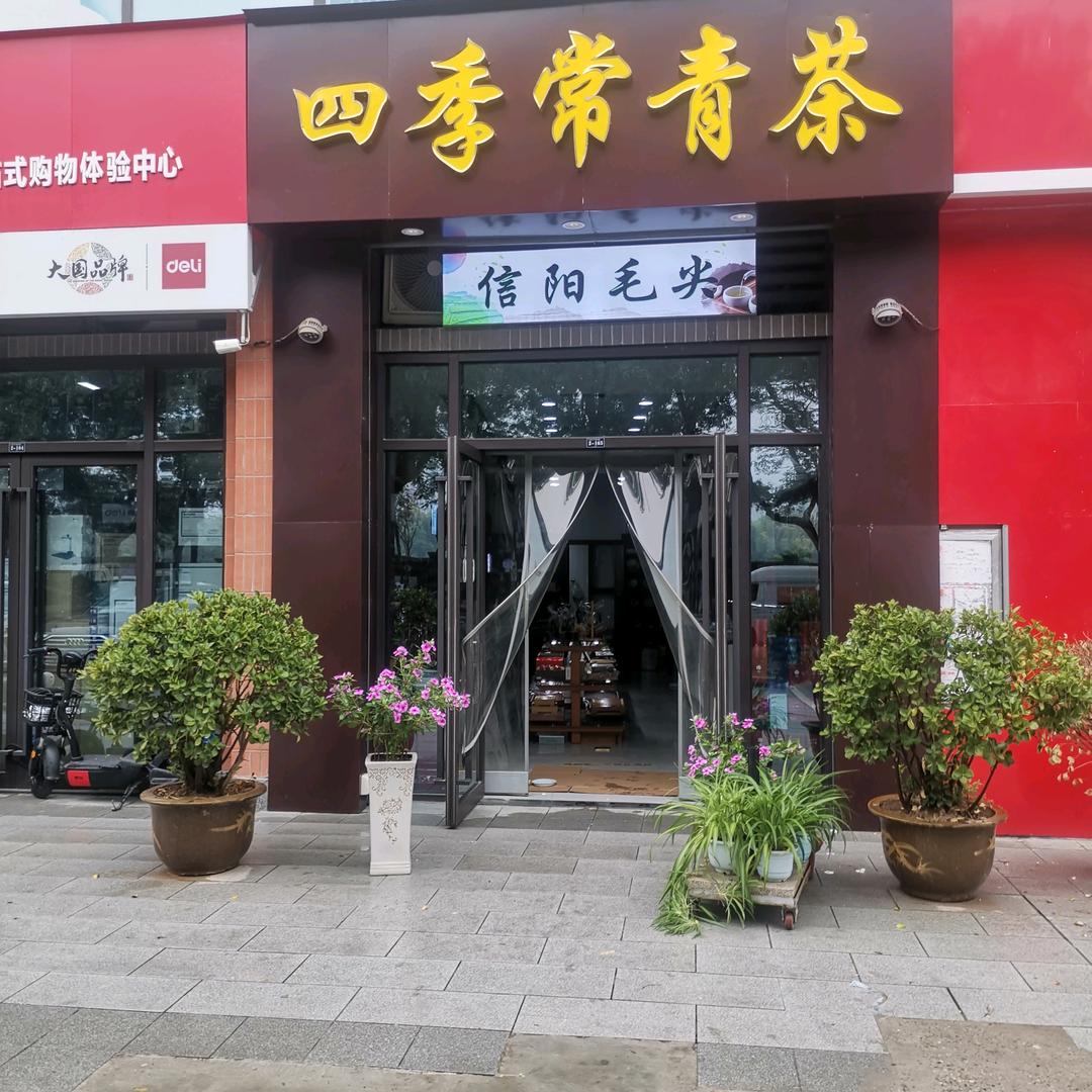 渭南四季常青茶叶