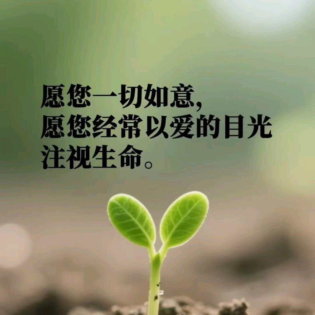 感恩相伴