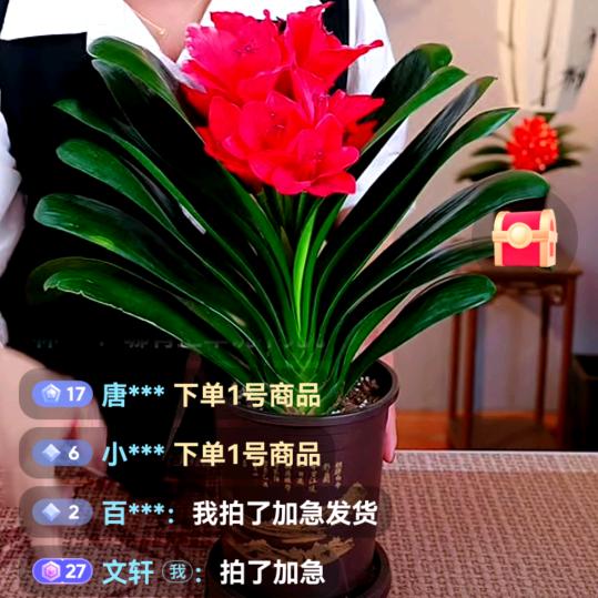 文轩
