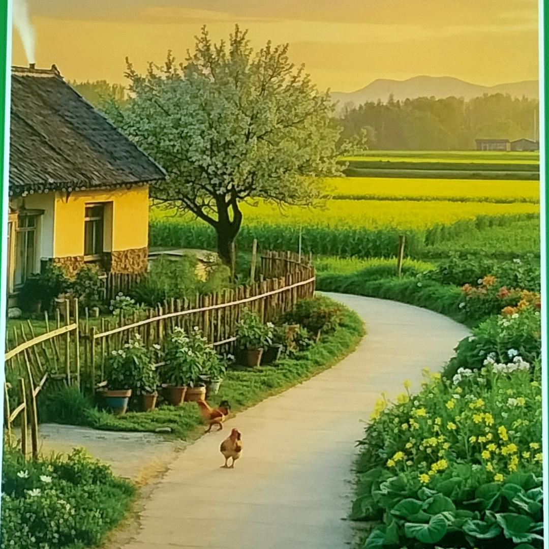 感恩遇见灬暖源