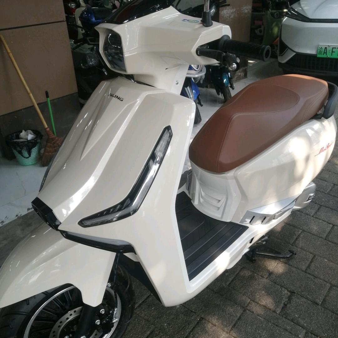 叮叮猫单身男人梦湘理发