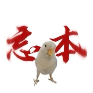 鸟儿