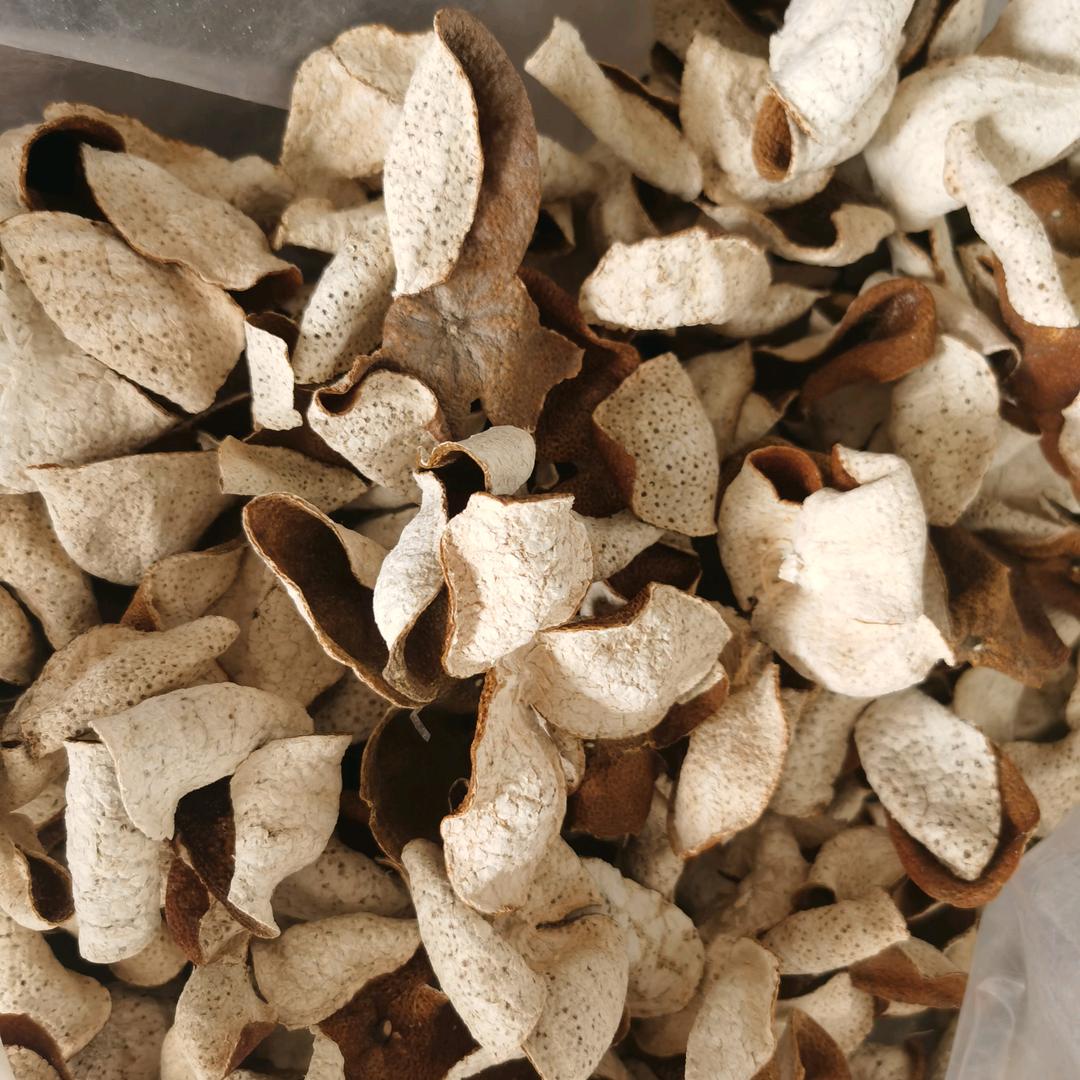 新会陈皮 （果农黄弟）