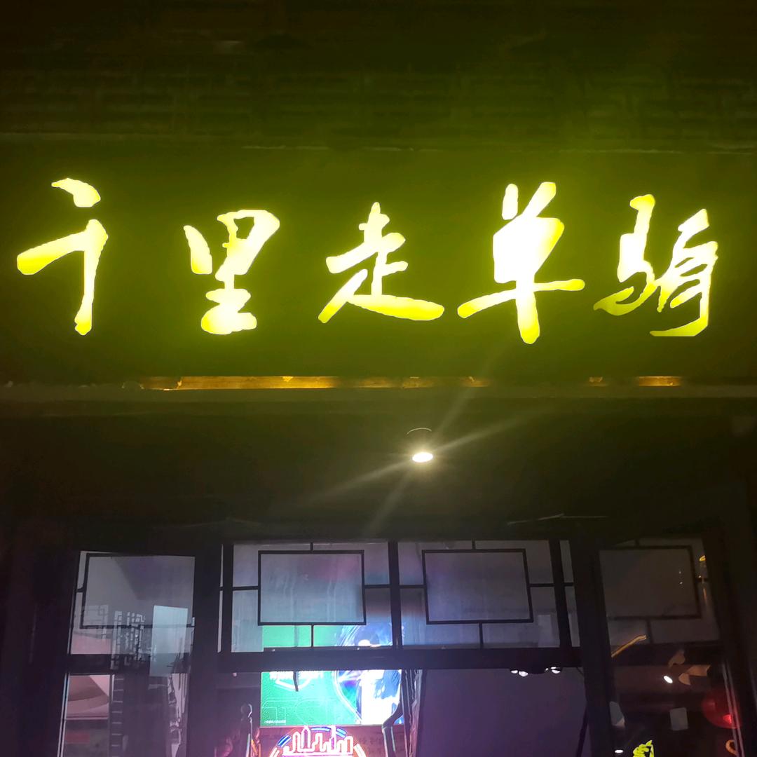 孤独的骆驼