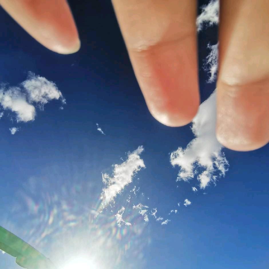 🌈吃狼的小红帽