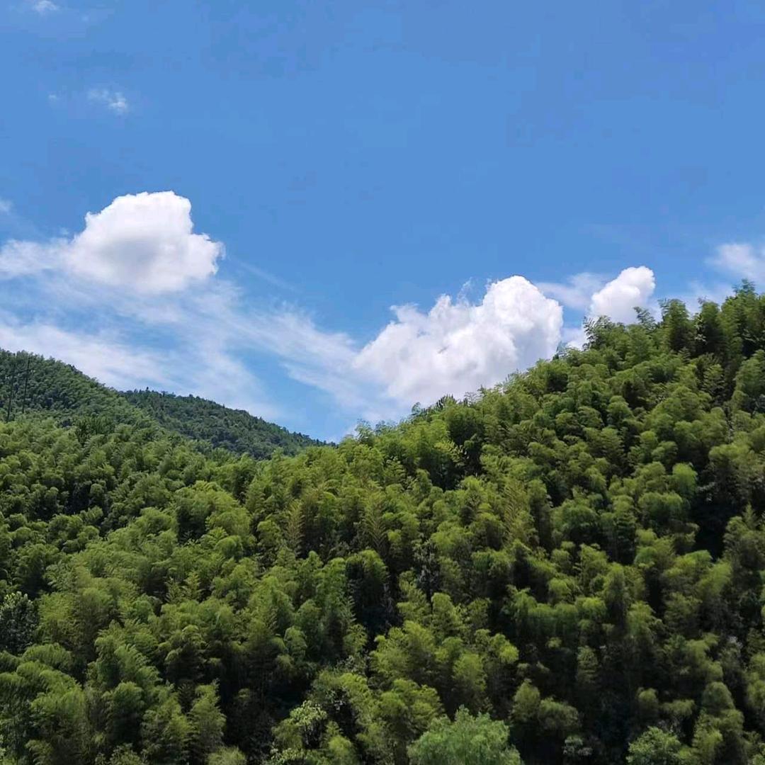 随便取的