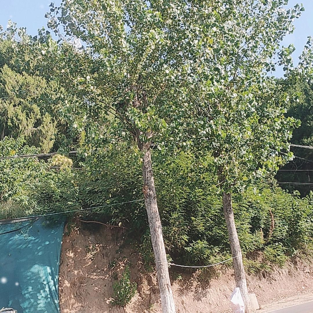看破红尘