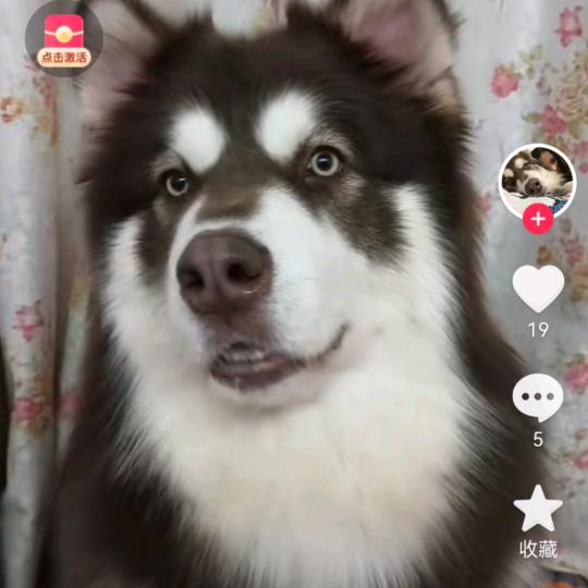 涚说我帅不帅🤪