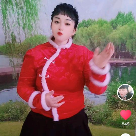 腊月的梅子