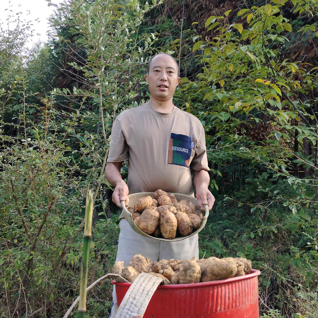 彝良乌蒙山农哥林涧滋补品铺子