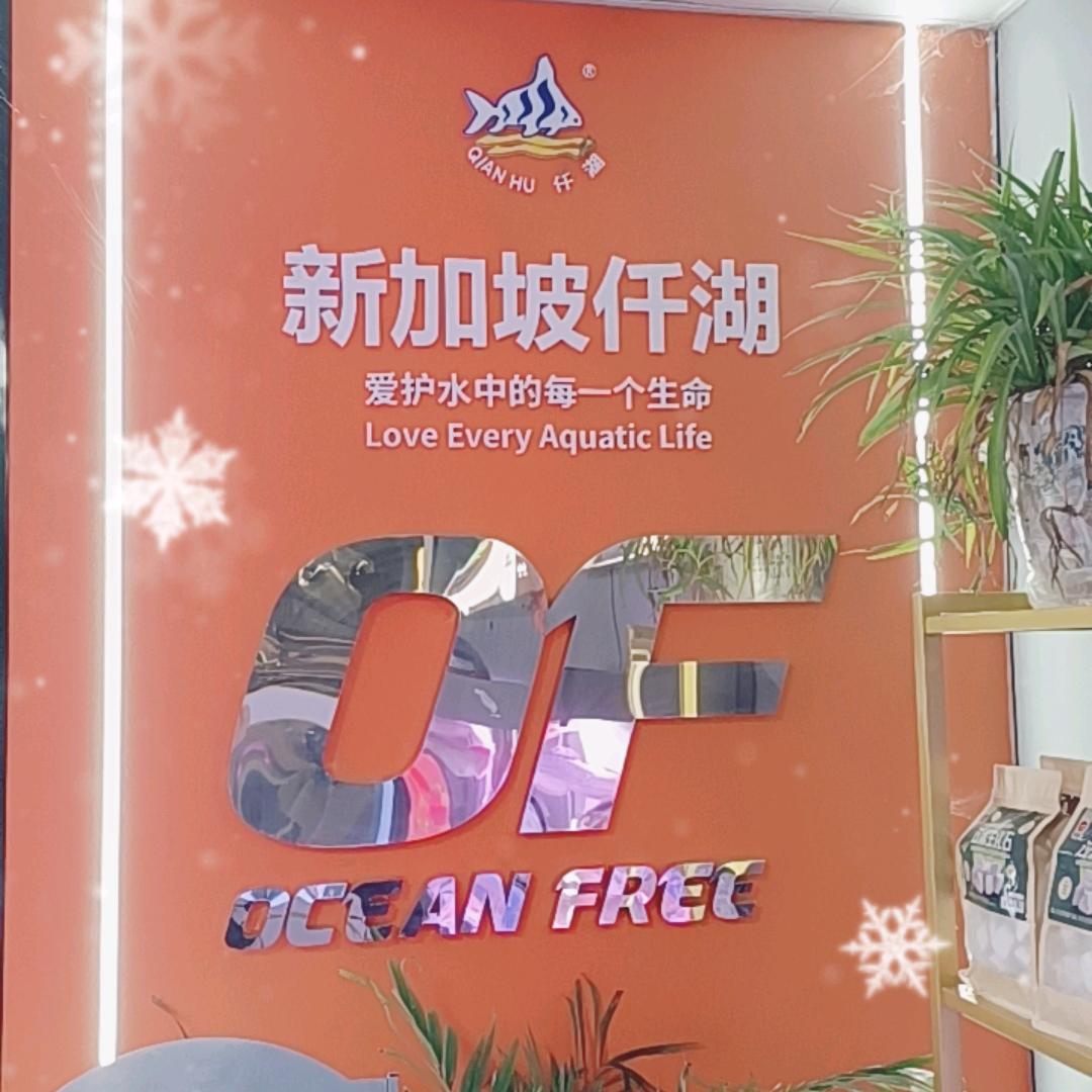 周口市仟湖水族、迪顺、森森鱼缸