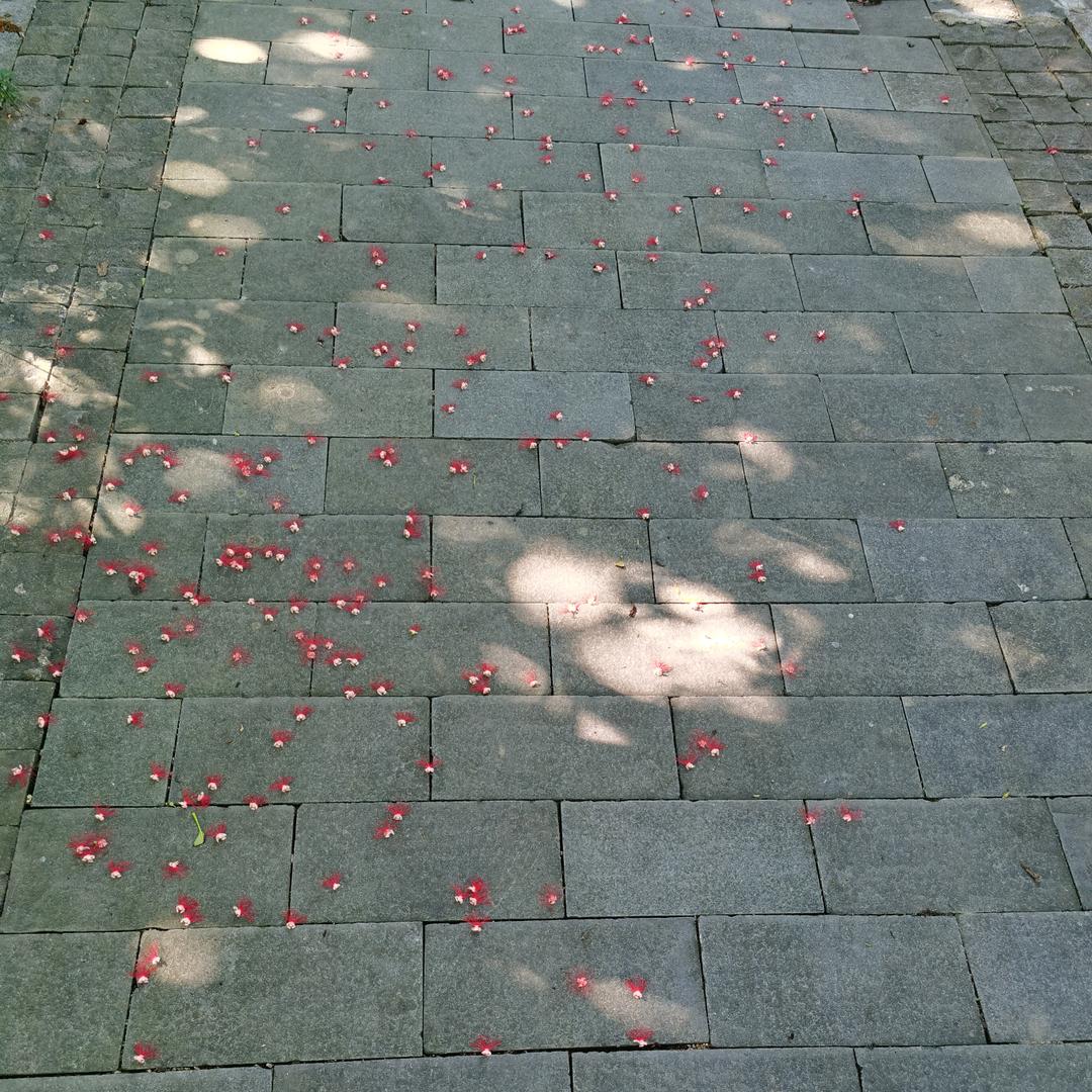 啊谋差点长成帅哥