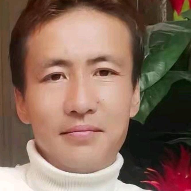 哈力木