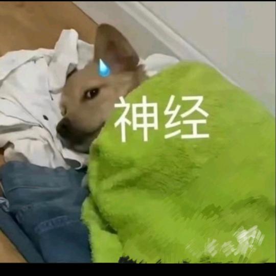 瘦璇头像