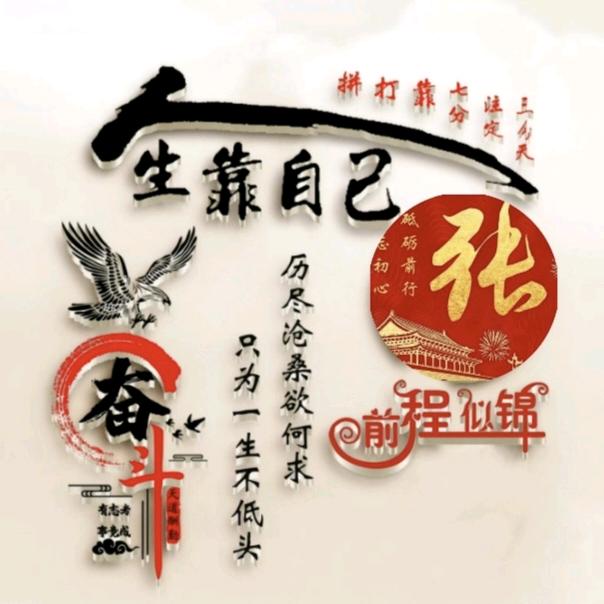 感恩的海桐