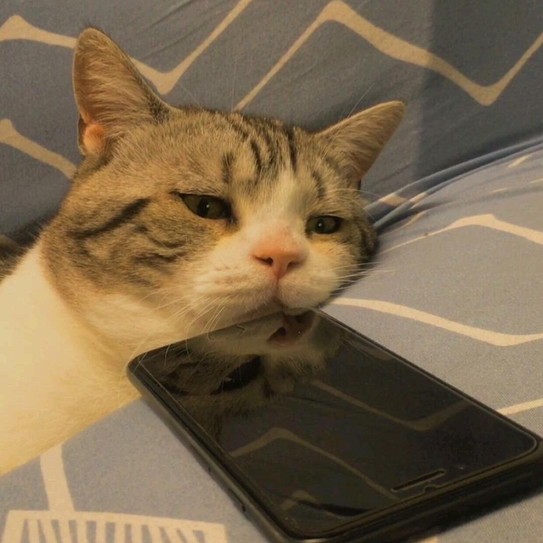 斩神. （关必回）