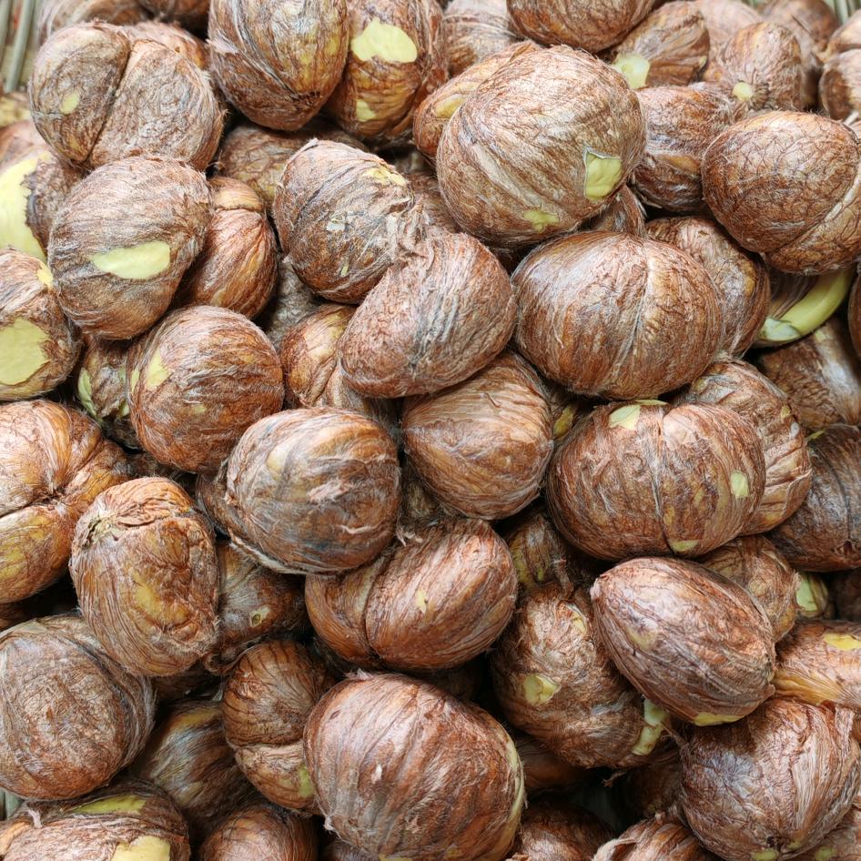 果淘王生鲜