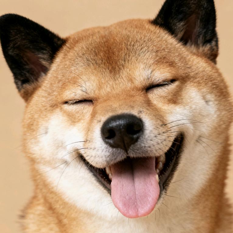 二狗讲故事