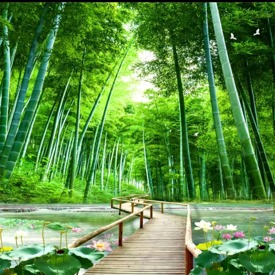 人心&太拥＆挤°