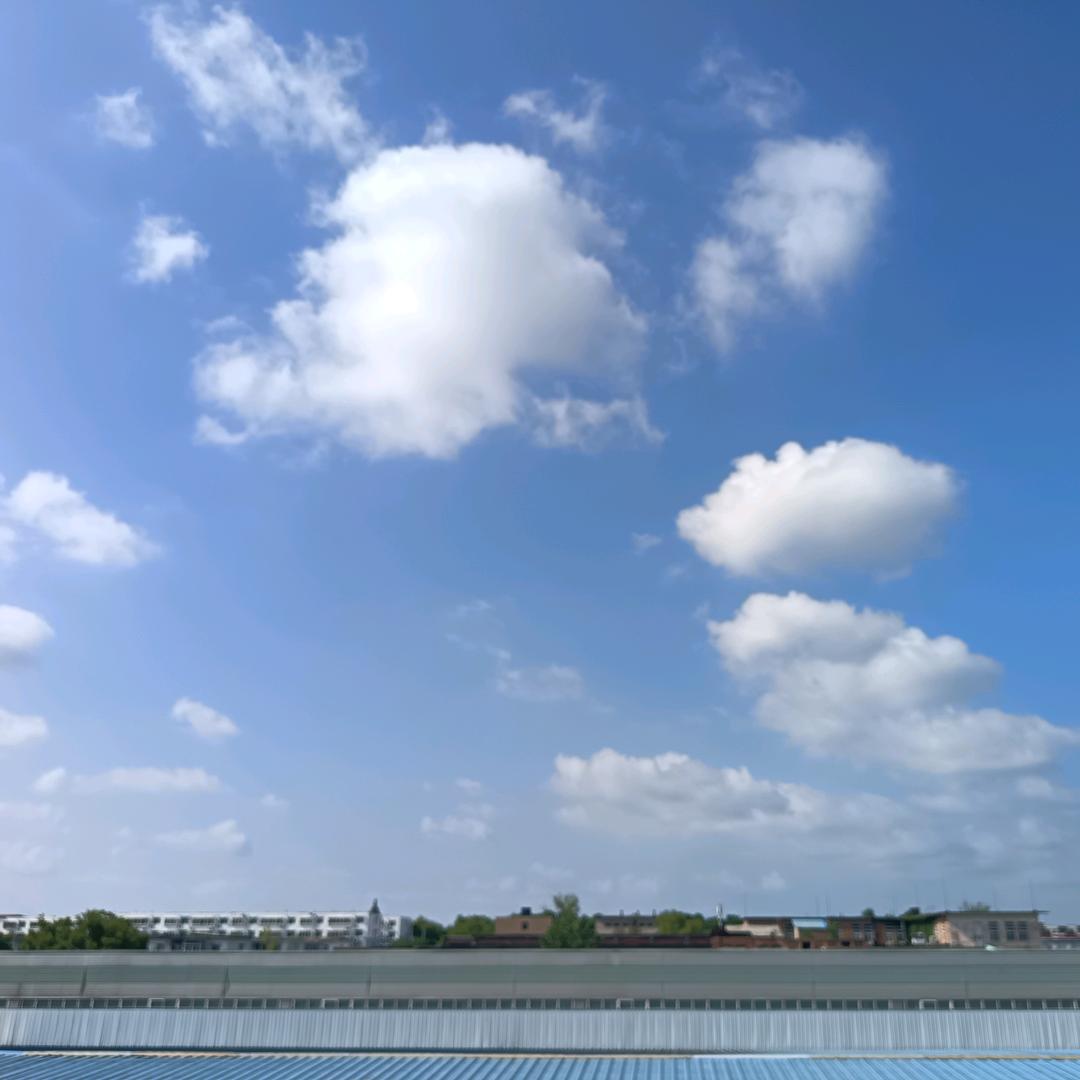 少酒书为乐无花茶生香