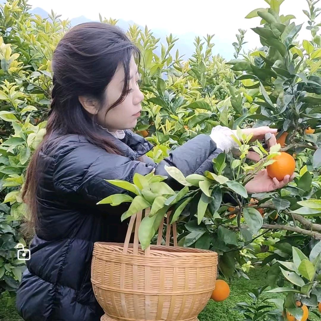 喻橙鲜果