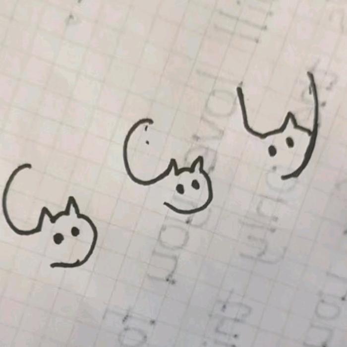 蓝桉长在洱海边