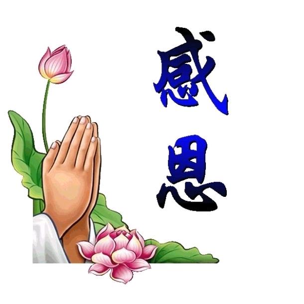 房晓云好物