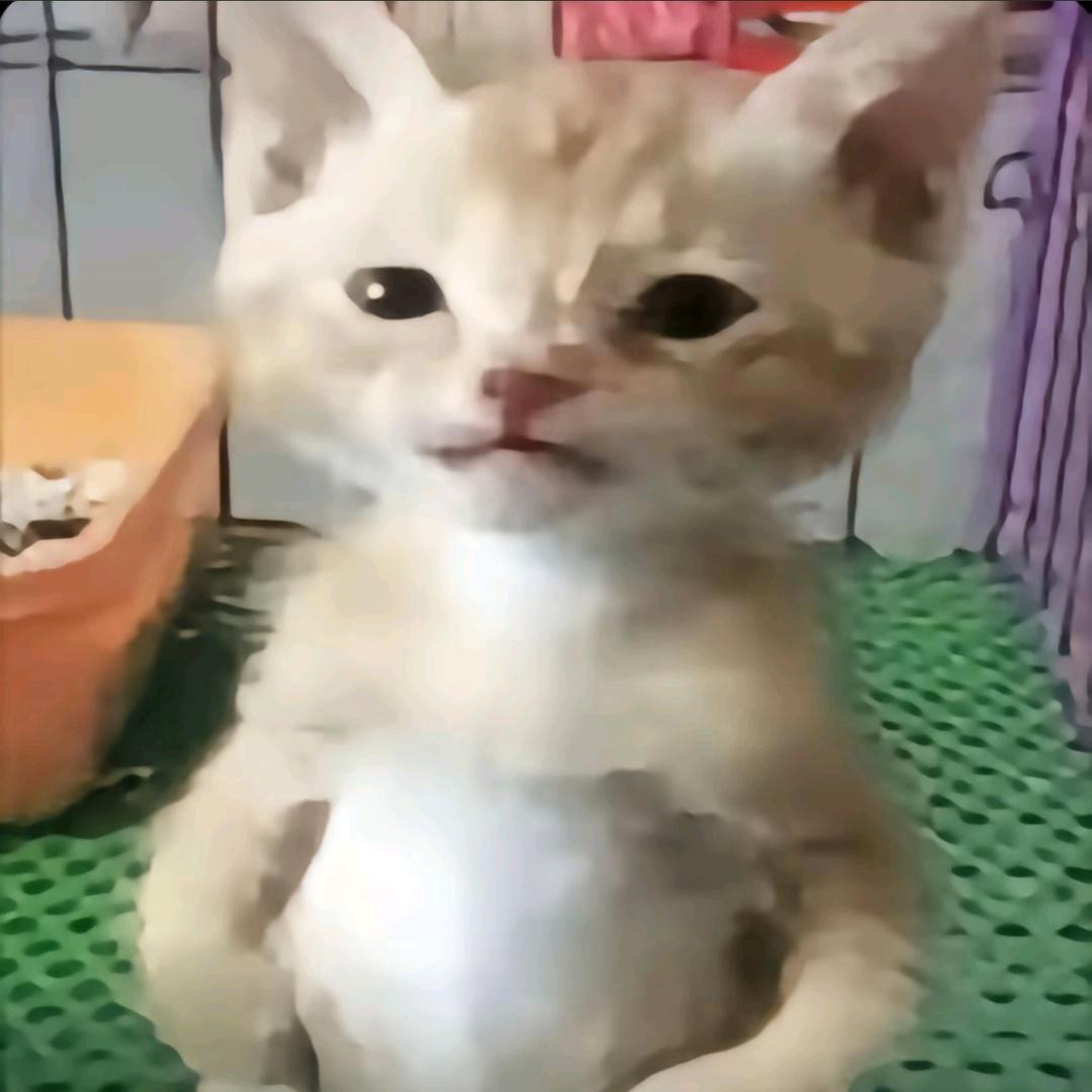 过渡季