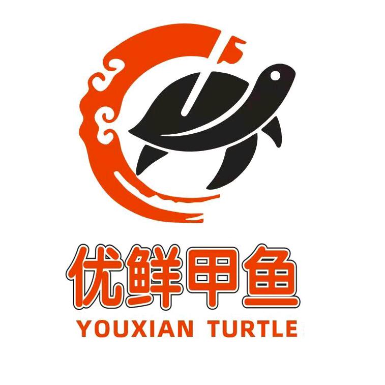 优鲜甲鱼王
