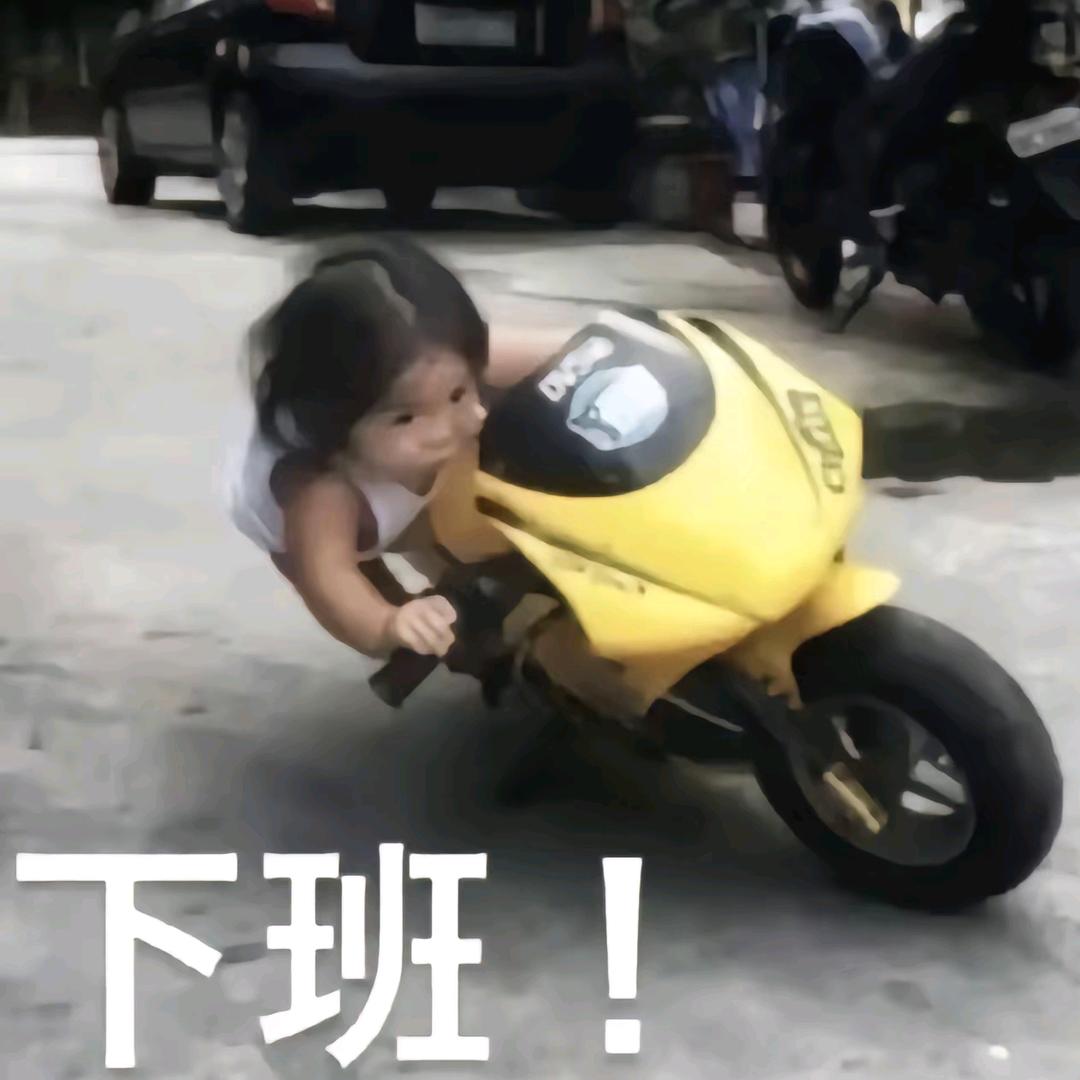 大聪明            🦟