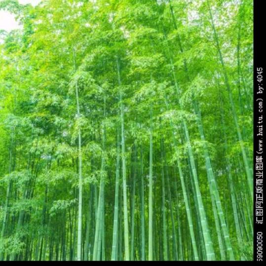 吴三姐