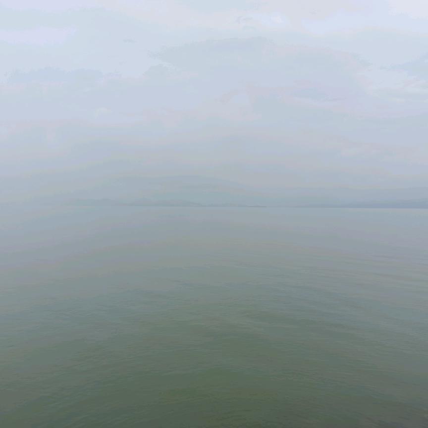 没心没肺的活着